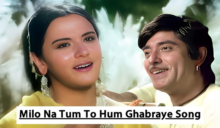 Milo Na Tum To Hum Ghabraye Song