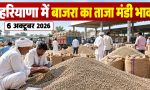 Haryana Bajra Bhav 6 October 2026