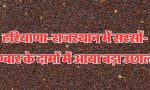 Haryana Mandi Bhav