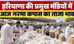 Haryana Narma Bhav 6 October 2026