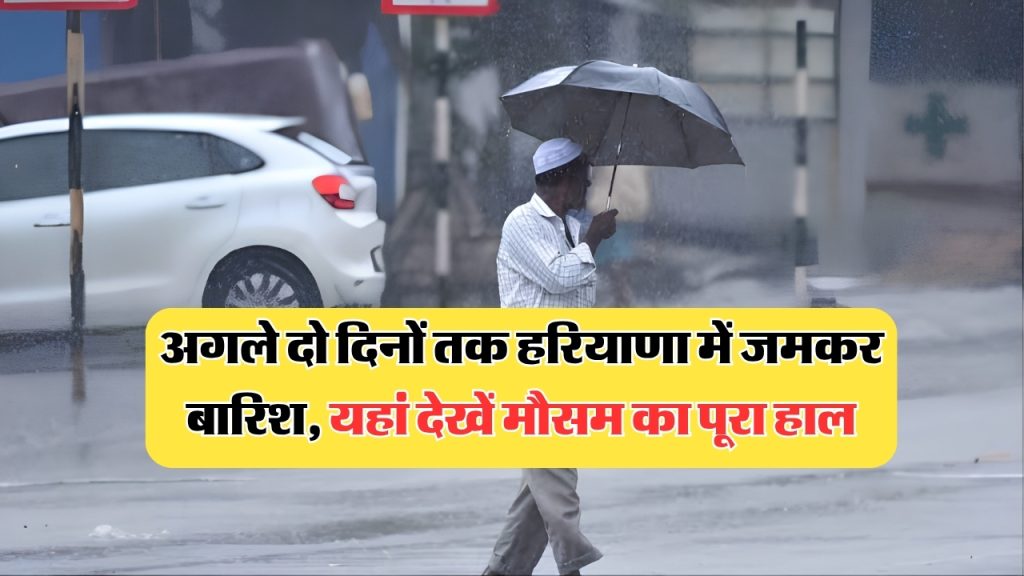 Haryana Weather Rain