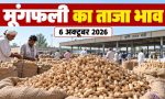 Mungfali Bhav Today 6 October 2026