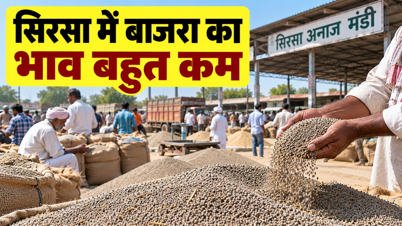 Sirsa Bajra Mandi Bhav 11 October 2026